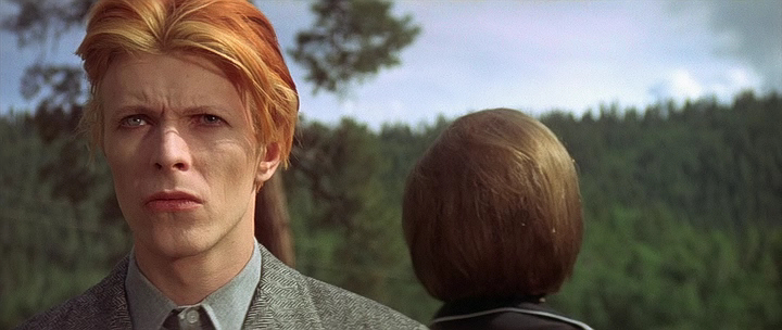 The Man Who Fell to Earth