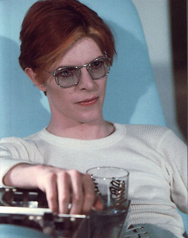 The Man Who Fell to Earth