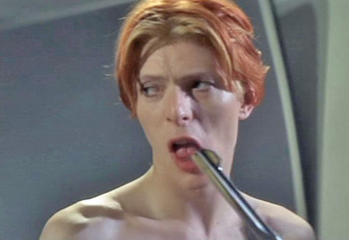 The Man Who Fell to Earth