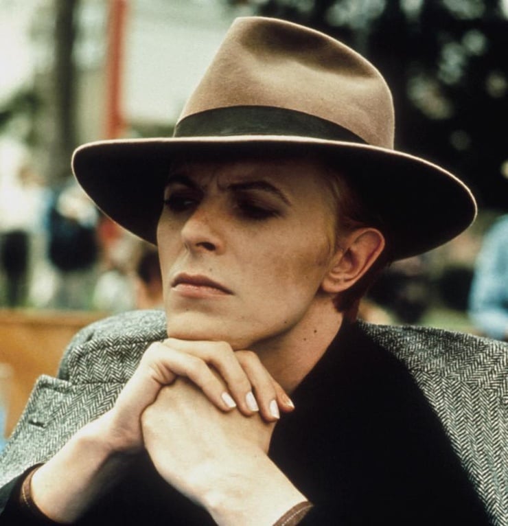 The Man Who Fell to Earth