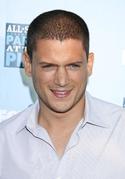 Wentworth Miller image