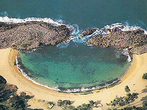 Manatí