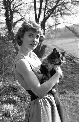 Susan Stephen