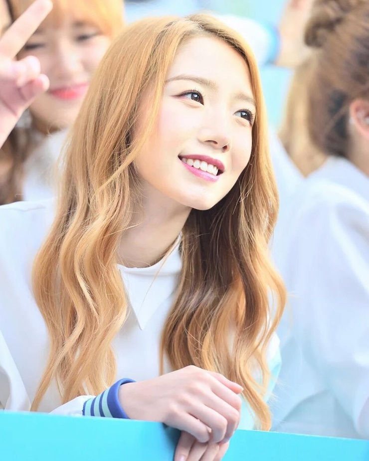 Mei Qi