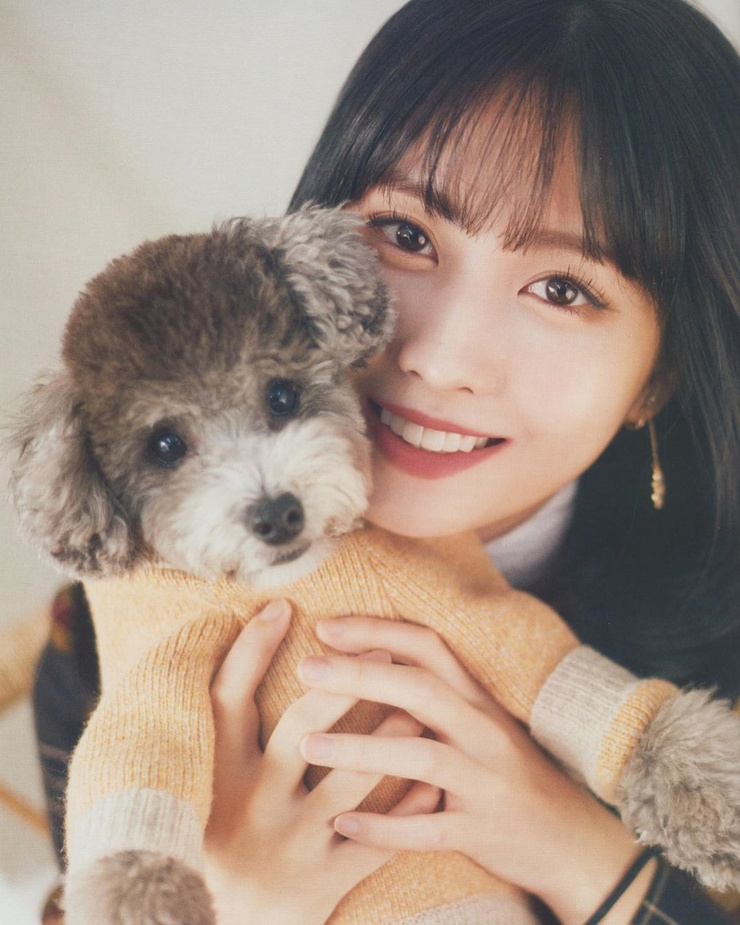 Hirai Momo Hirai Momo