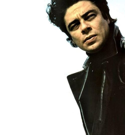 Benicio Del Toro