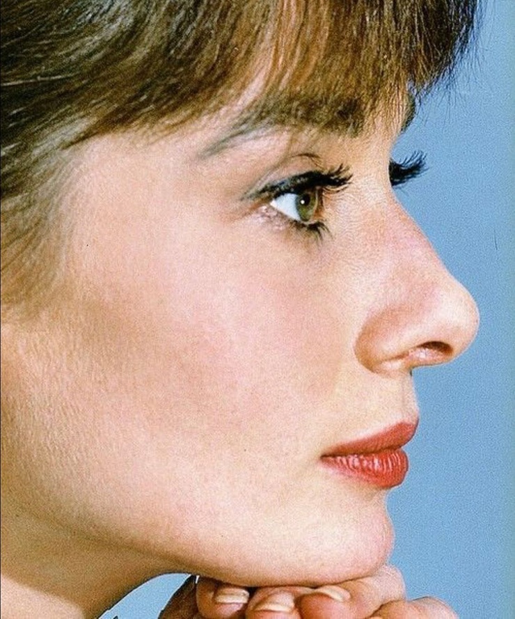 Audrey Hepburn Audrey Hepburn