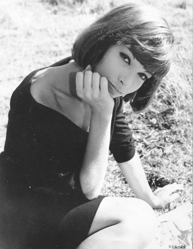 Dany Saval