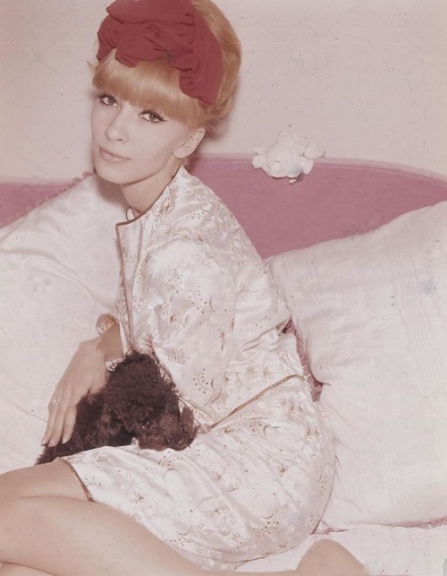 Dany Saval