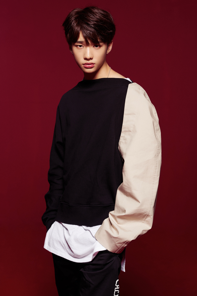 Hyun-Jin Hwang