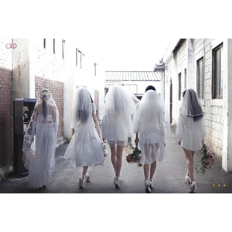 EXID