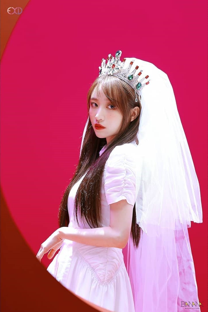 Hani