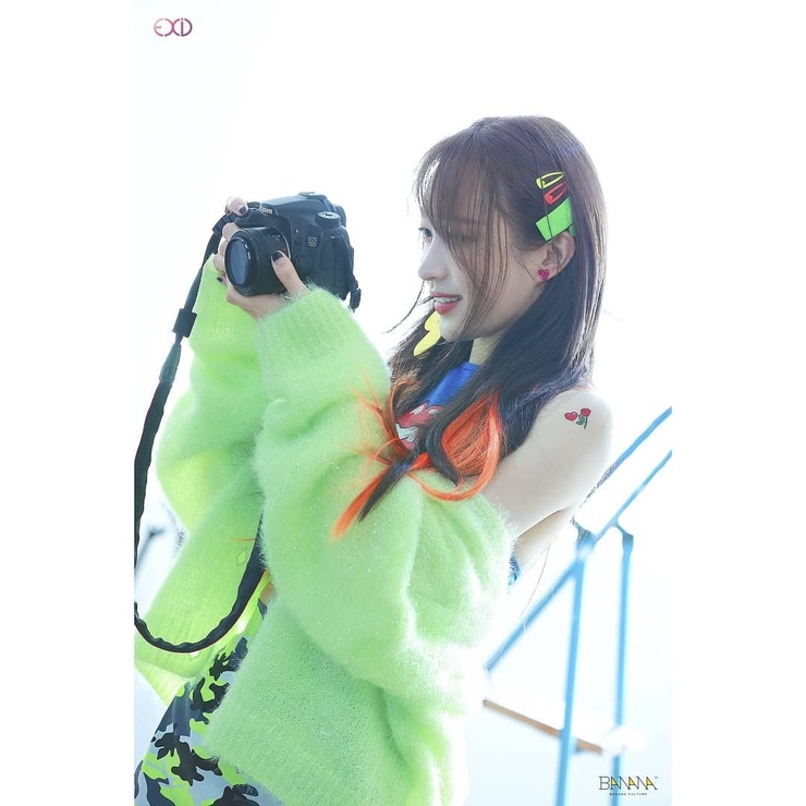 Hani