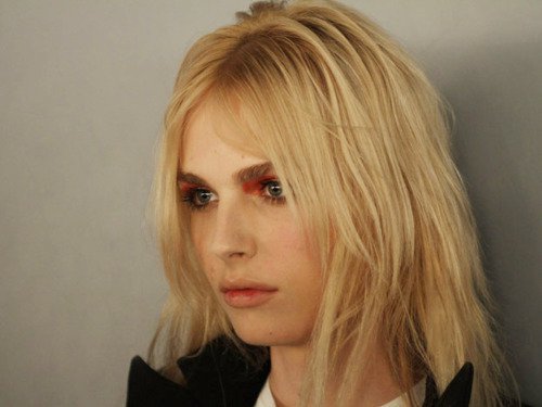Andrej Pejic