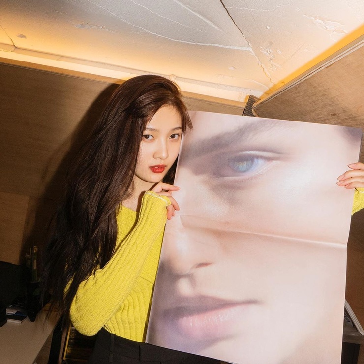 Joy (Park Soo Young) Joy (Park Soo Young)