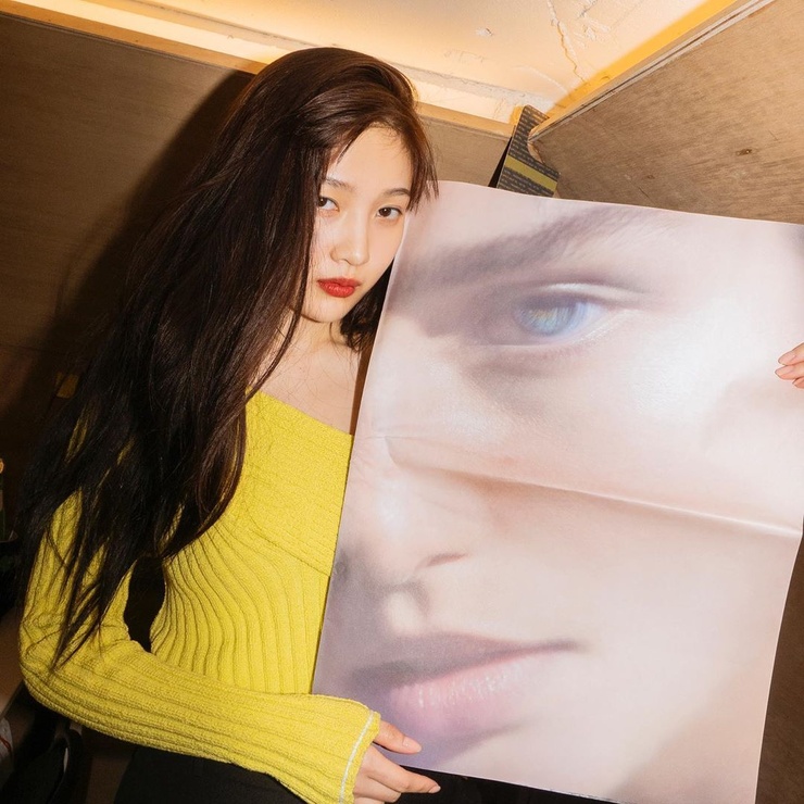 Joy (Park Soo Young) Joy (Park Soo Young)