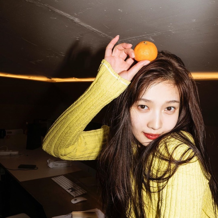 Joy (Park Soo Young) Joy (Park Soo Young)