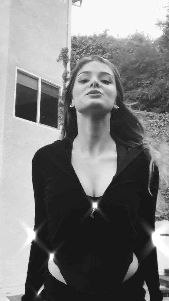Brighton Sharbino