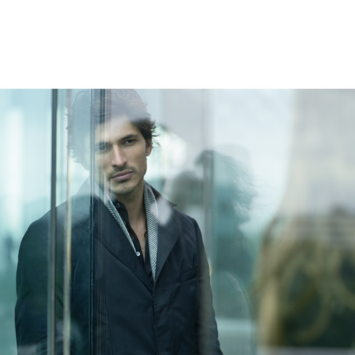 Andres Velencoso Segura