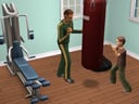 The Sims 2