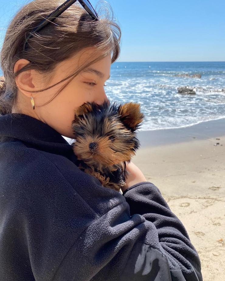 Hailee Steinfeld