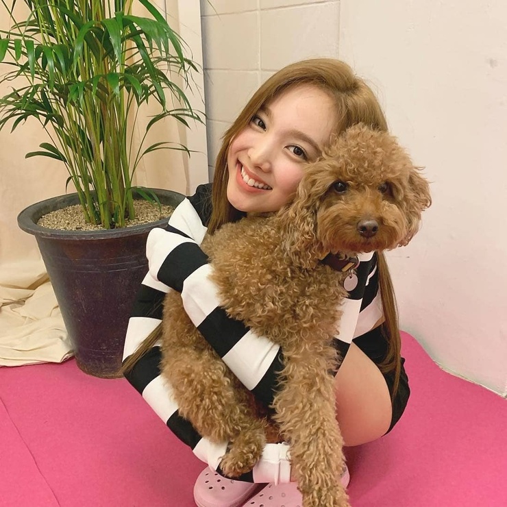 Im Nayeon
