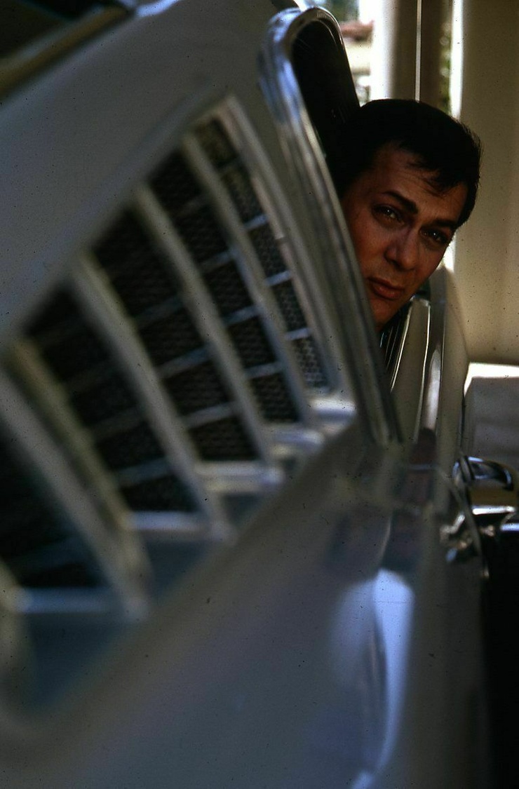 Tony Curtis
