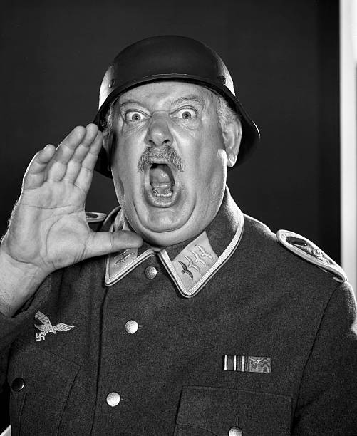 Hogan's Heroes