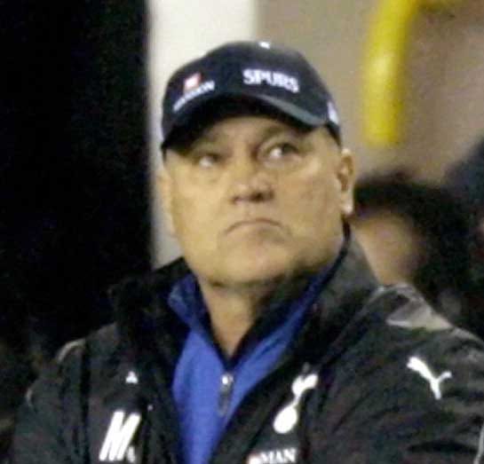 Martin Jol