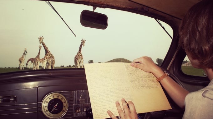 The Woman Who Loves Giraffes