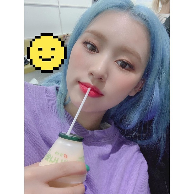 Elly (엘리)