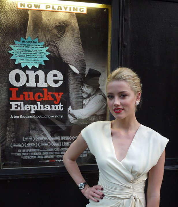 Amber Heard Amber Heard