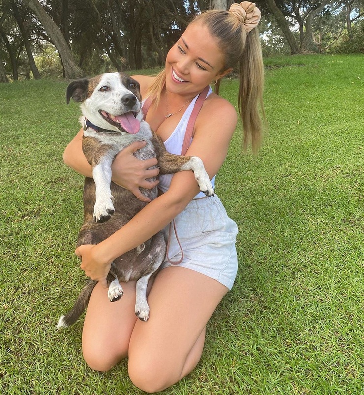 Jem Wolfie Jem Wolfie