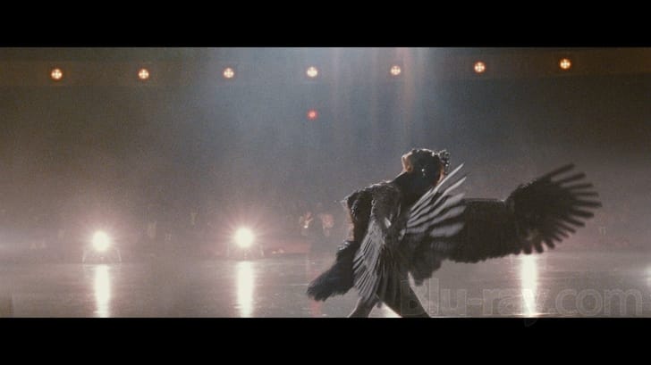 Black Swan (Blu-ray + DVD + Digital Copy Combo Pack) 