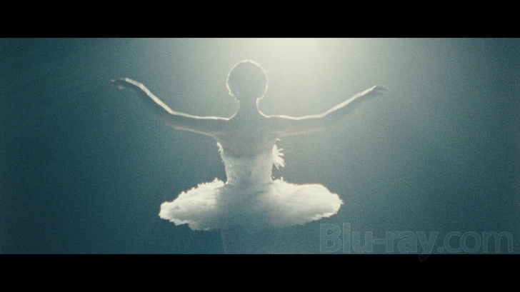 Black Swan (Blu-ray + DVD + Digital Copy Combo Pack) 