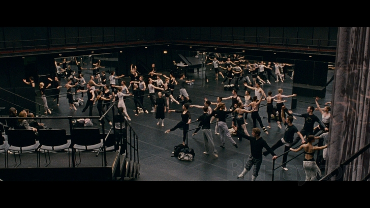 Black Swan (Blu-ray + DVD + Digital Copy Combo Pack) 