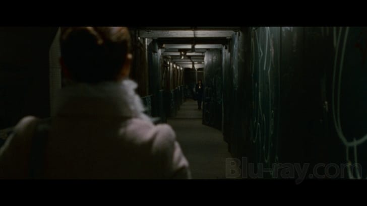 Black Swan (Blu-ray + DVD + Digital Copy Combo Pack) 