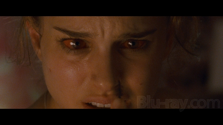 Black Swan (Blu-ray + DVD + Digital Copy Combo Pack) 