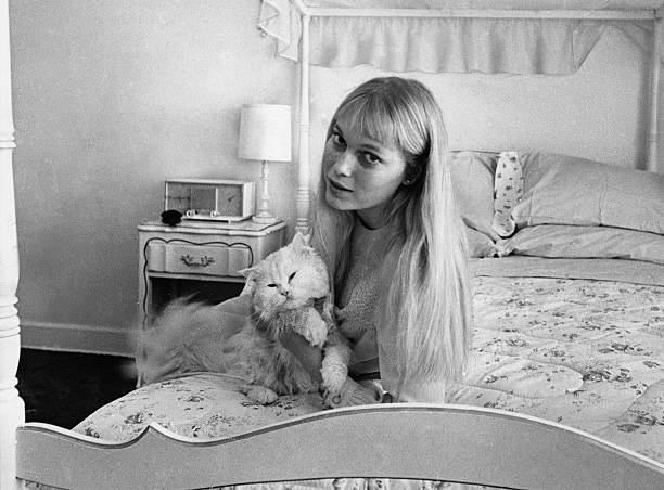 Peyton Place Peyton Place