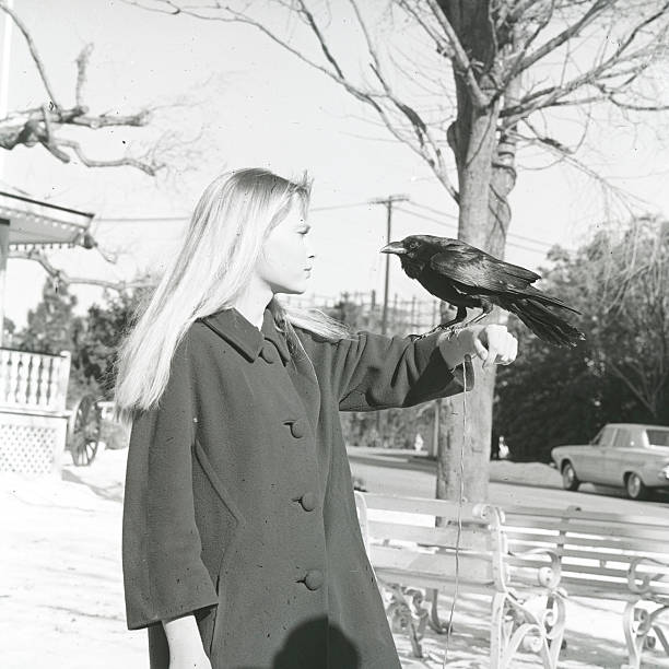 Peyton Place Peyton Place