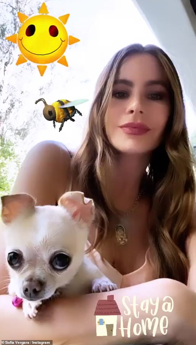 Sofía Vergara Sofía Vergara