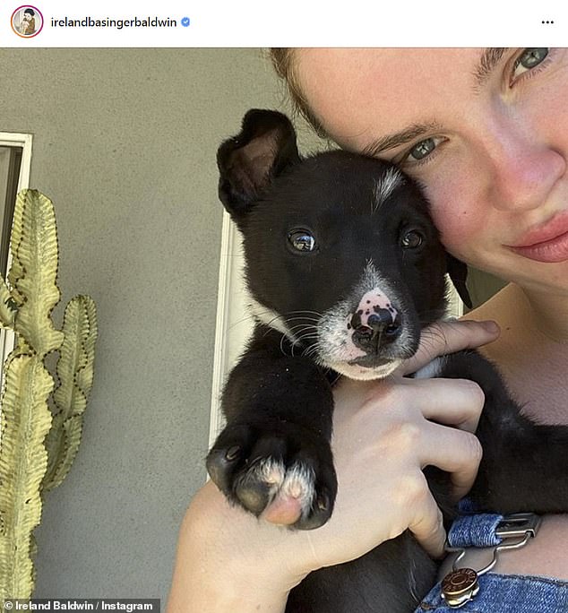 Ireland Baldwin
