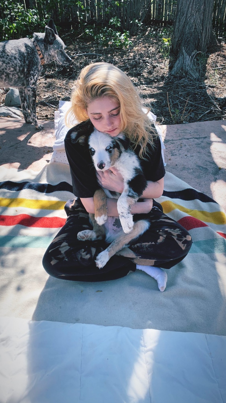 Willow Shields
