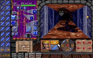 Forgotten Realms: Dungeon Hack