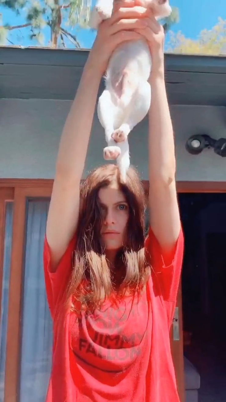 Alexandra Daddario Alexandra Daddario