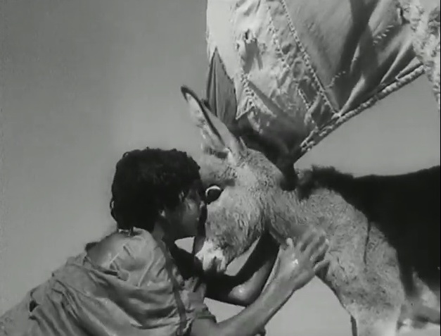 Bim, the Little Donkey Bim, the Little Donkey