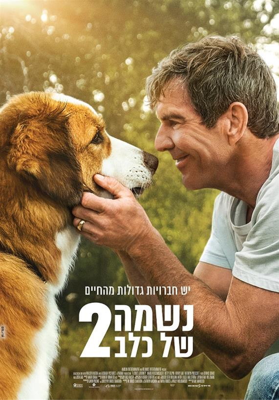 A Dog's Journey
