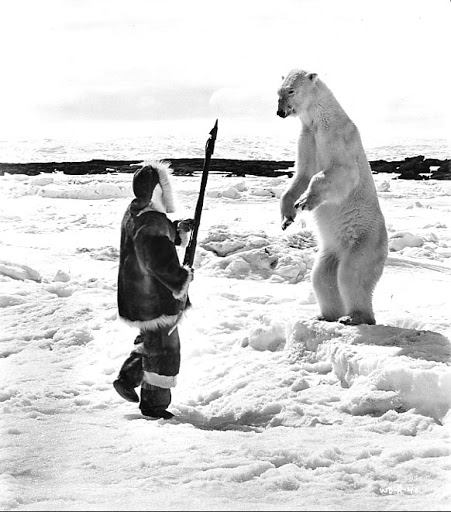 The White Dawn
