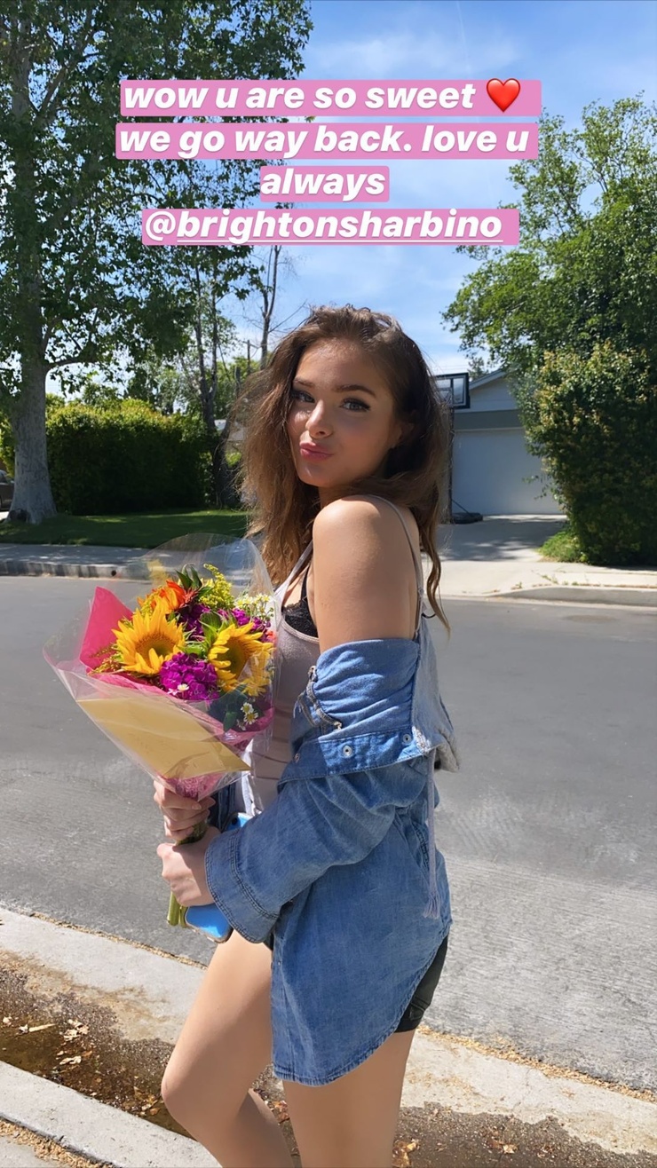 Brighton Sharbino