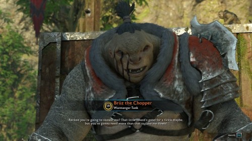 Brûz the Chopper